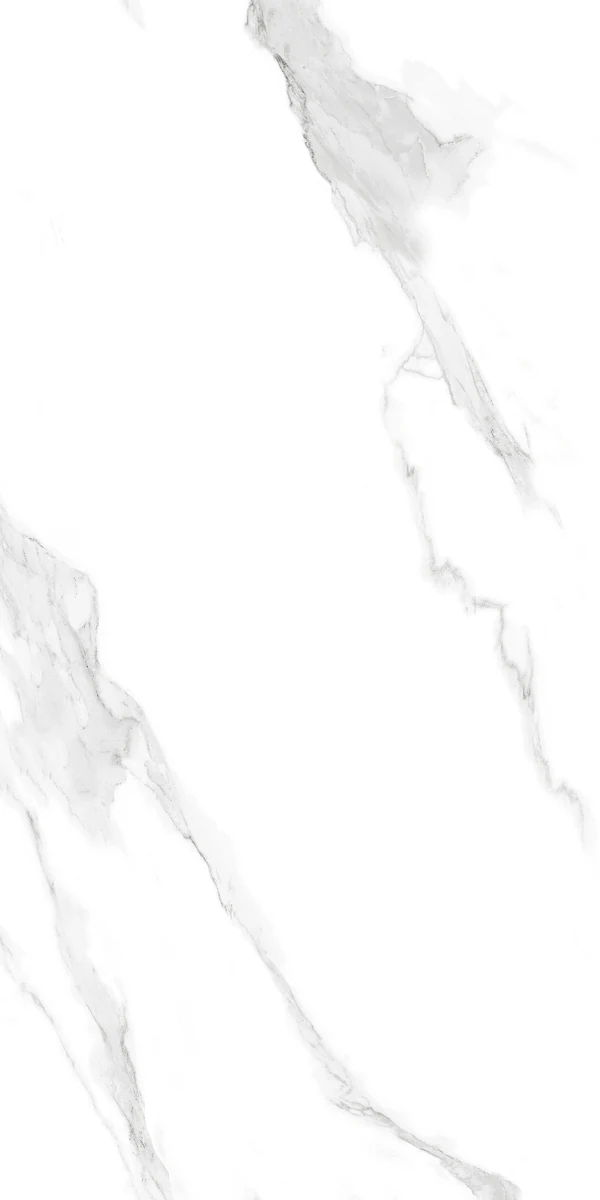 face 6